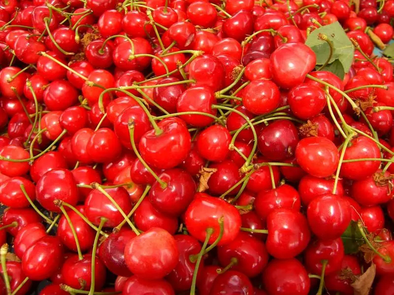 ǧĶӣ��ӭ���ͣ�������ɽӣ���Ļ��ڿ�Ļ��