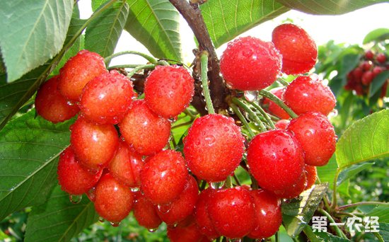 �����ȱ��˹̹֮�� �ڿ���Ҳ�ζԻ�����ӣ��