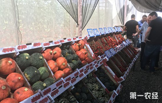 ��ɫ�����ӹ�˾���п����ջ �������ũ�����ʹ�������