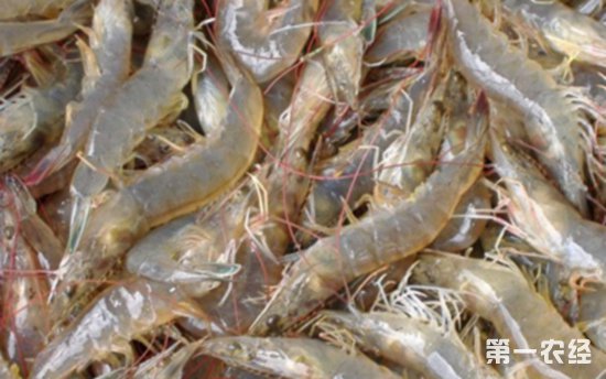 ��������ֹ��׽�ȱ� ī���翪��Ϻ����